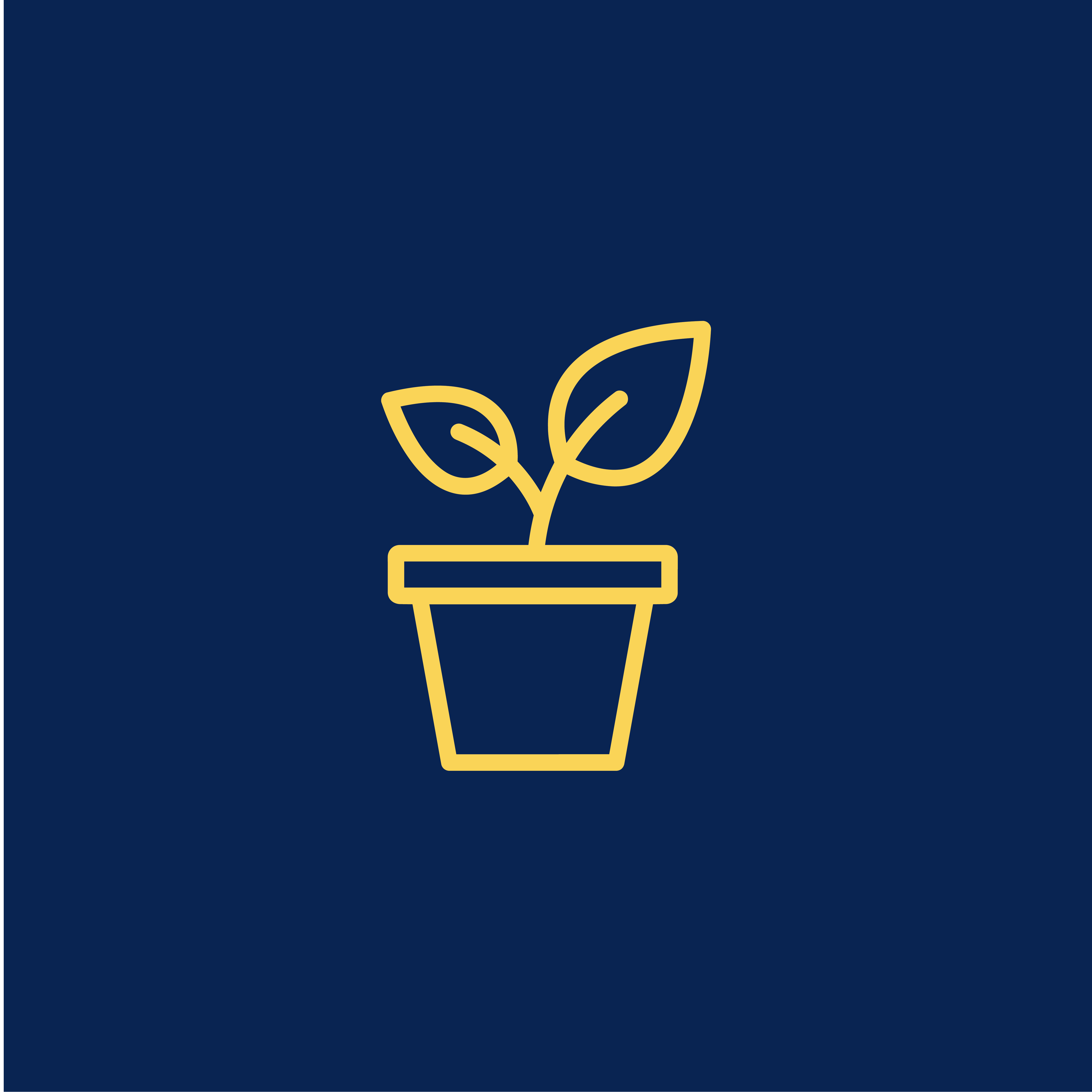 Gardening & Landscaping